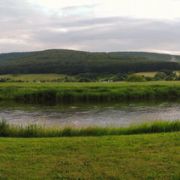 f00006420.jpg